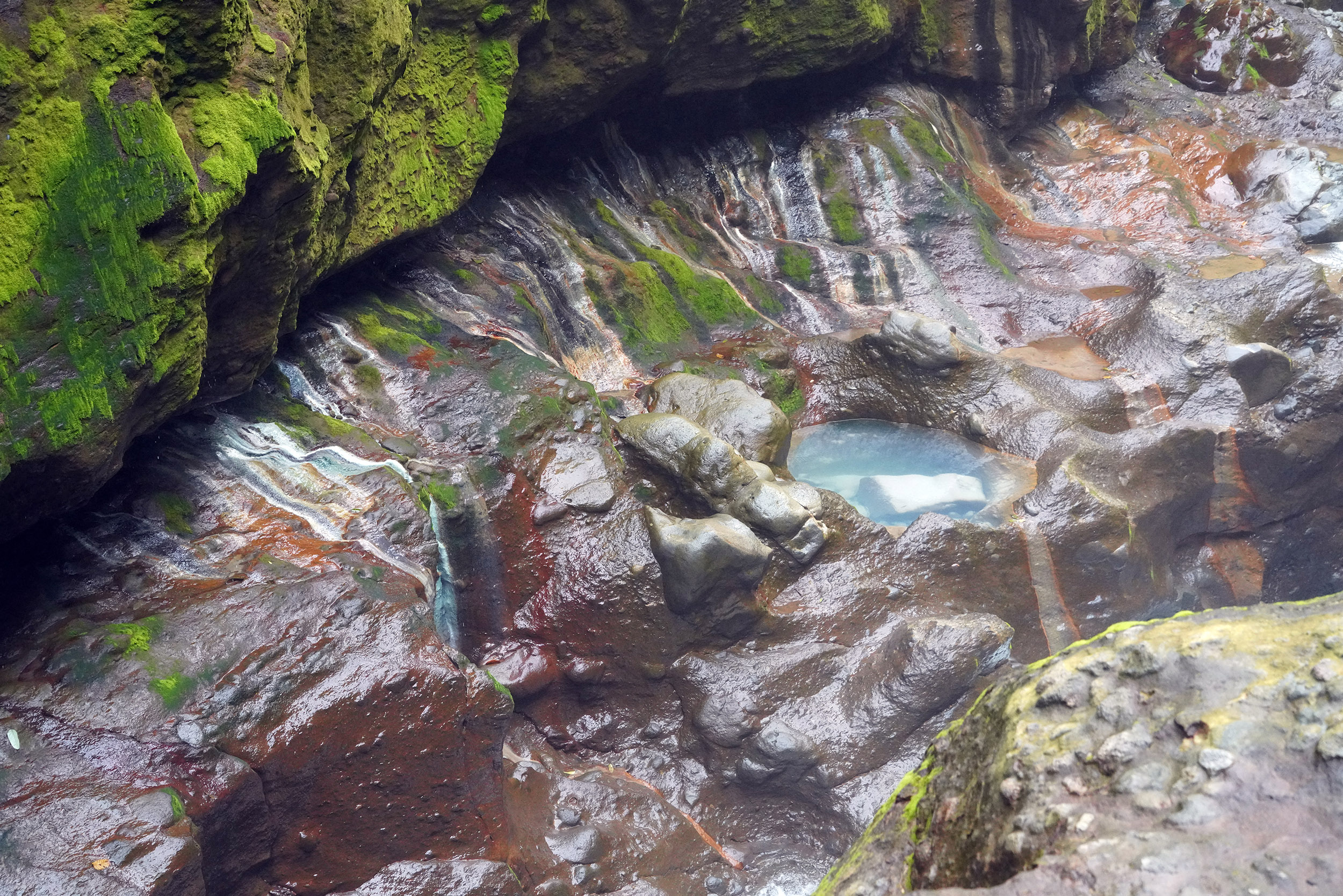 Costa Rica - Février 2025